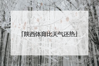 陕西体育比天气还热