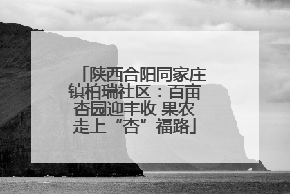 陕西合阳同家庄镇柏瑞社区：百亩杏园迎丰收 果农走上“杏”福路