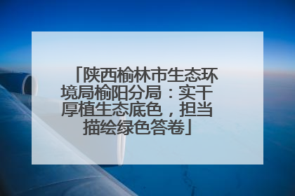 陕西榆林市生态环境局榆阳分局：实干厚植生态底色，担当描绘绿色答卷