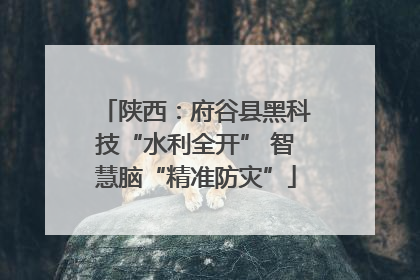 陕西：府谷县黑科技“水利全开” 智慧脑“精准防灾”