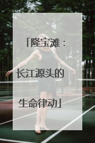隆宝滩：长江源头的生命律动