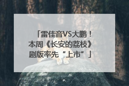 雷佳音VS大鹏！本周《长安的荔枝》剧版率先“上市”