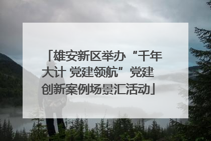 雄安新区举办“千年大计 党建领航”党建创新案例场景汇活动