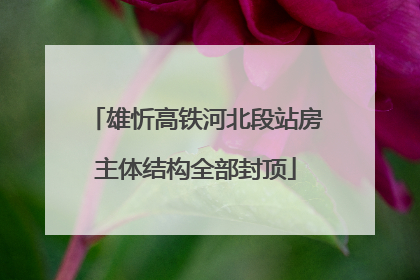 雄忻高铁河北段站房主体结构全部封顶