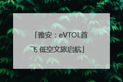 雅安：eVTOL首飞 低空文旅启航