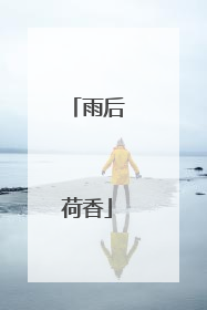 雨后荷香