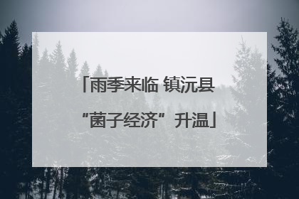 雨季来临 镇沅县“菌子经济”升温