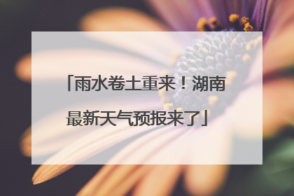 雨水卷土重来！湖南最新天气预报来了