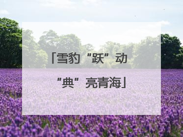 雪豹“跃”动 “典”亮青海