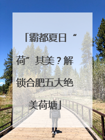 霸都夏日“荷”其美？解锁合肥五大绝美荷塘