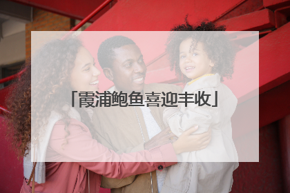 霞浦鲍鱼喜迎丰收