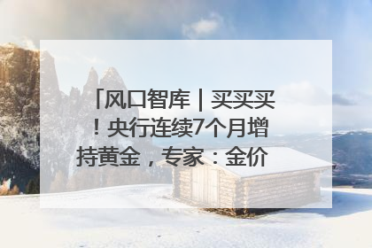 风口智库｜买买买！央行连续7个月增持黄金，专家：金价或仍易涨难跌