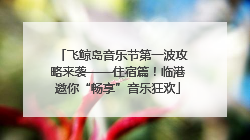 飞鲸岛音乐节第一波攻略来袭——住宿篇！临港邀你“畅享”音乐狂欢