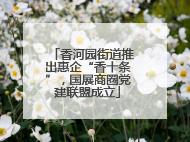 香河园街道推出惠企“香十条”，国展商圈党建联盟成立