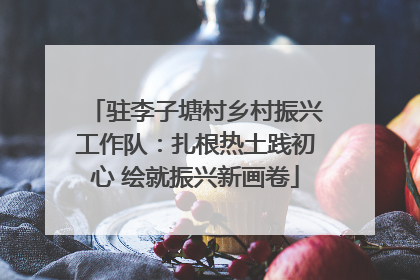 驻李子塘村乡村振兴工作队：扎根热土践初心 绘就振兴新画卷