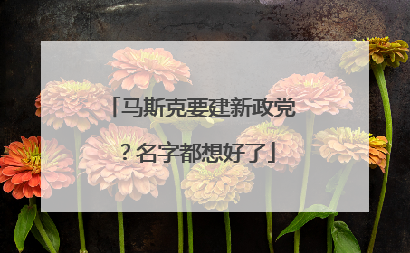 马斯克要建新政党？名字都想好了