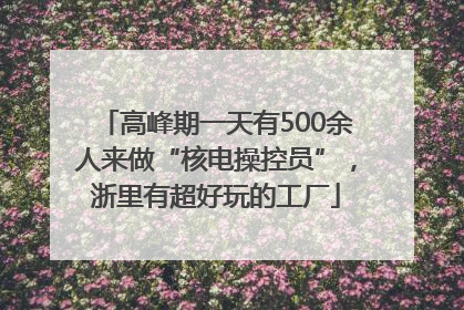 高峰期一天有500余人来做“核电操控员”，浙里有超好玩的工厂