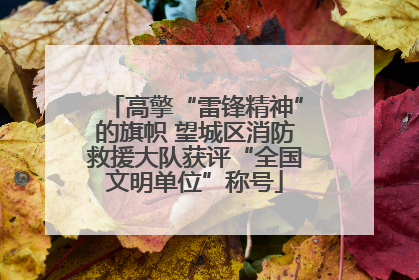 高擎“雷锋精神”的旗帜 望城区消防救援大队获评“全国文明单位”称号
