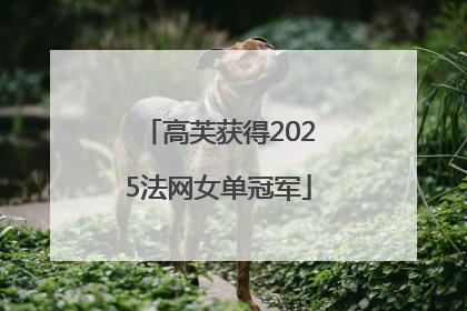 高芙获得2025法网女单冠军