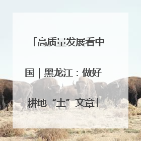 高质量发展看中国｜黑龙江：做好耕地“土”文章