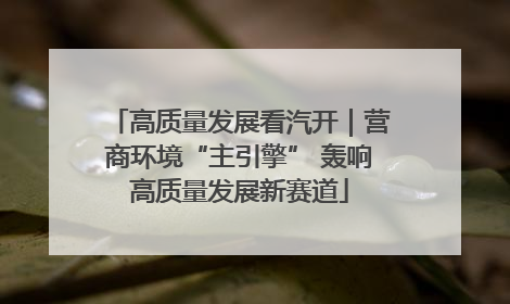 高质量发展看汽开｜营商环境“主引擎” 轰响高质量发展新赛道