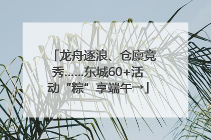 龙舟逐浪、仓廪竞秀……东城60+活动“粽”享端午→