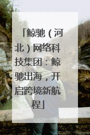 鲸驰（河北）网络科技集团：鲸驰出海，开启跨境新航程