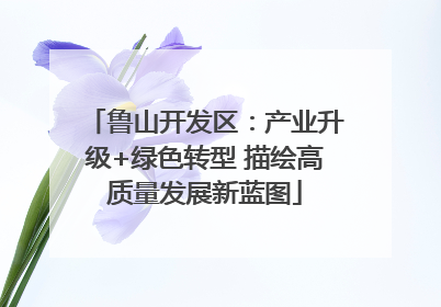 鲁山开发区：产业升级+绿色转型 描绘高质量发展新蓝图