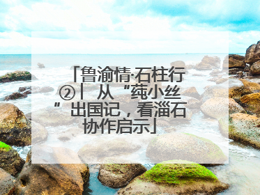 鲁渝情·石柱行② ︳从“莼小丝”出国记，看淄石协作启示