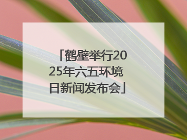 鹤壁举行2025年六五环境日新闻发布会