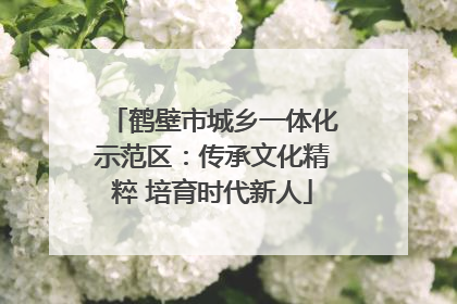 鹤壁市城乡一体化示范区：传承文化精粹 培育时代新人