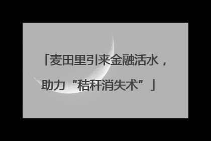 麦田里引来金融活水，助力“秸秆消失术”