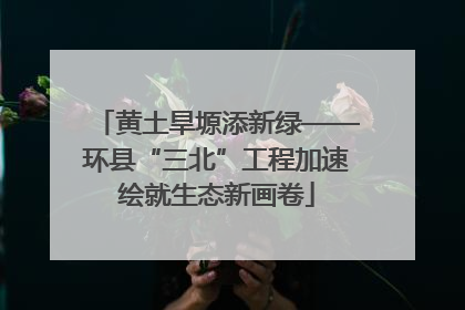 黄土旱塬添新绿——环县“三北”工程加速绘就生态新画卷