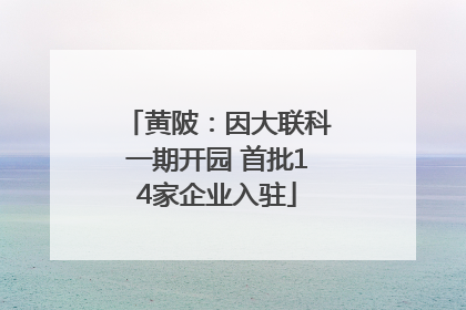 黄陂：因大联科一期开园 首批14家企业入驻