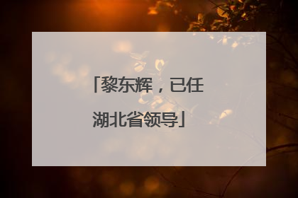 黎东辉，已任湖北省领导