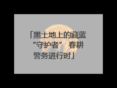黑土地上的藏蓝“守护者” 春耕警务进行时