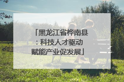 黑龙江省桦南县：科技人才驱动 赋能产业促发展