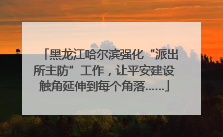 黑龙江哈尔滨强化“派出所主防”工作，让平安建设触角延伸到每个角落……