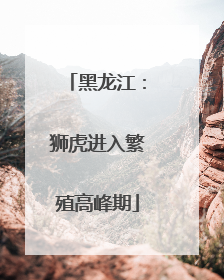 黑龙江：狮虎进入繁殖高峰期