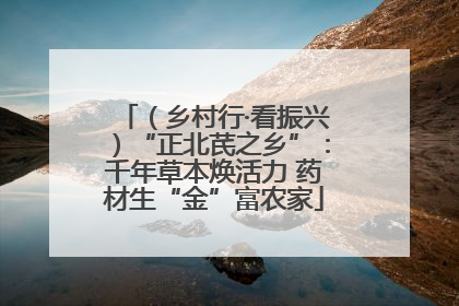 （乡村行·看振兴）“正北芪之乡”：千年草本焕活力 药材生“金”富农家