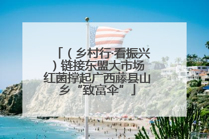 （乡村行·看振兴）链接东盟大市场 红菌撑起广西藤县山乡“致富伞”