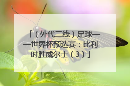 （外代二线）足球——世界杯预选赛：比利时胜威尔士（3）