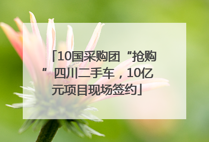 10国采购团“抢购”四川二手车，10亿元项目现场签约