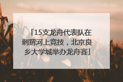 15支龙舟代表队在刺猬河上竞技，北京良乡大学城举办龙舟赛