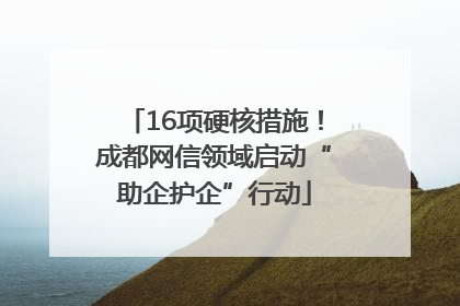 16项硬核措施！成都网信领域启动“助企护企”行动