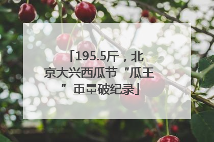 195.5斤，北京大兴西瓜节“瓜王”重量破纪录