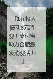 1元投入撬动8元消费！支付宝助力合肥激发消费活力