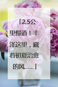 2.5公里慢道！丰泽这里，藏着初夏治愈的风……