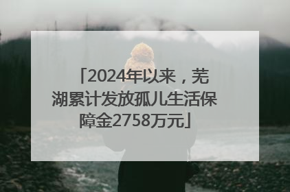 2024年以来，芜湖累计发放孤儿生活保障金2758万元