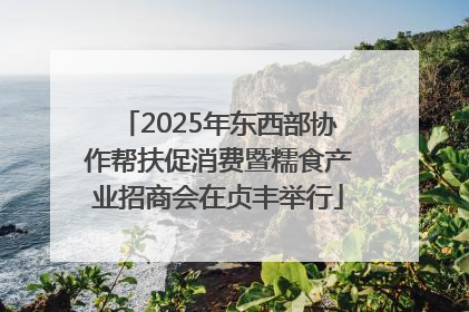2025年东西部协作帮扶促消费暨糯食产业招商会在贞丰举行